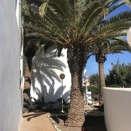 Casa Palmera Apartmán *