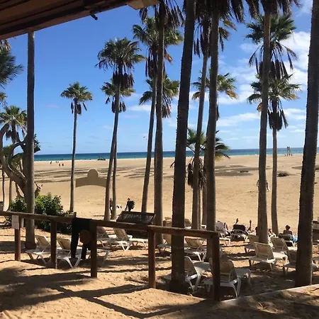 Casa Palmera * Costa De Antigua