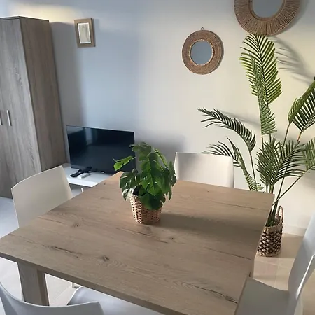 Apartmán Casa Palmera *