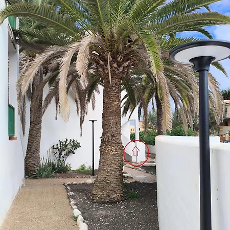 Apartmán Casa Palmera Costa De Antigua