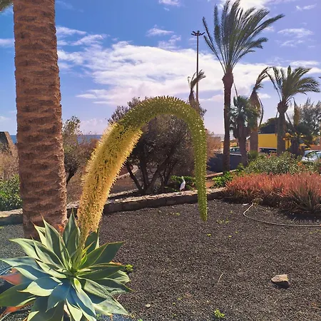 Apartmán Casa Palmera *