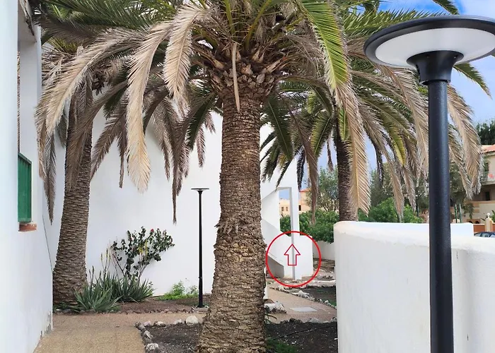 شقة Casa Palmera كوستا دي أنتيجوا