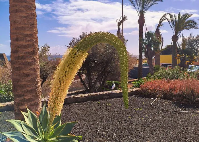 شقة Casa Palmera *